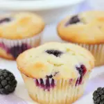 Blackberry Yogurt Muffins