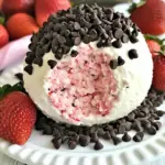Chocolate Covered Strawberry Cheese Ball