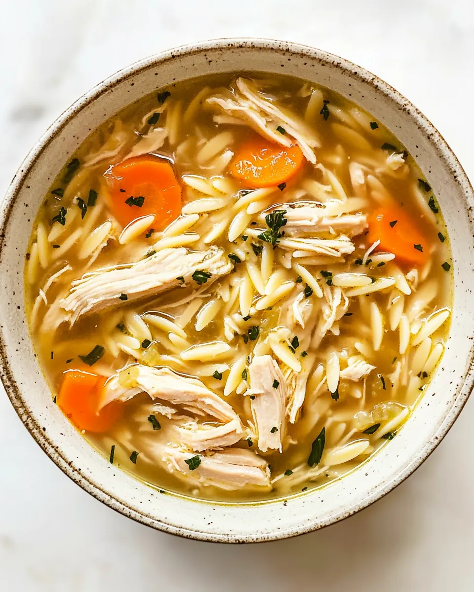Crockpot Lemon Chicken Orzo Soup