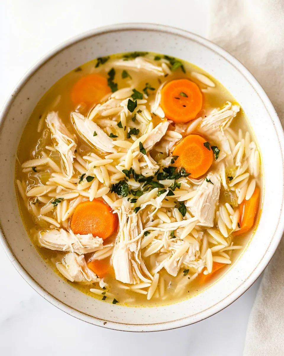 Crockpot Lemon Chicken Orzo Soup