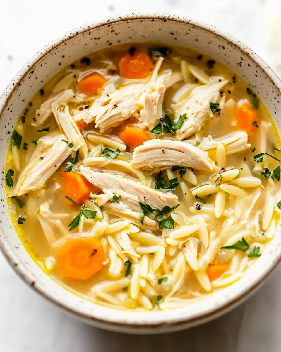 Crockpot Lemon Chicken Orzo Soup