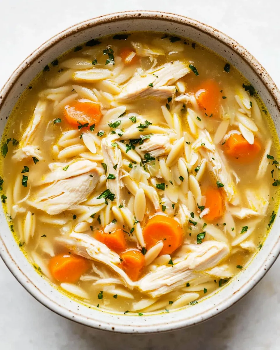 Crockpot Lemon Chicken Orzo Soup