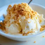 Crunchy Ice Cream Dessert