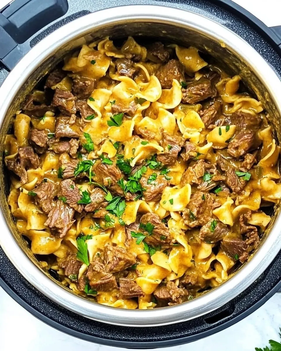 Instant Pot Beef Stroganoff