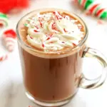 Skinny Peppermint Mocha Latte