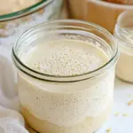 Sourdough Starter Recipe
