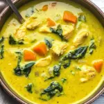 Whole30 Instant Pot Turmeric Tahini Chicken Soup